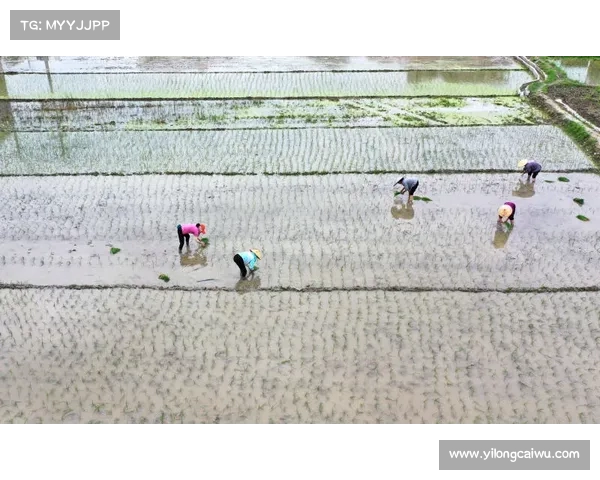 落花时节再遇君拉什福德与林加德再度携手同场竞技见证昔日辉煌